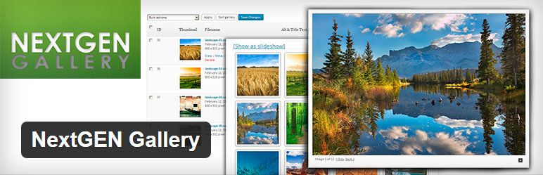 Wordpress NextGEN Gallery Eklentisi